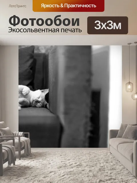 Фотообои Диван