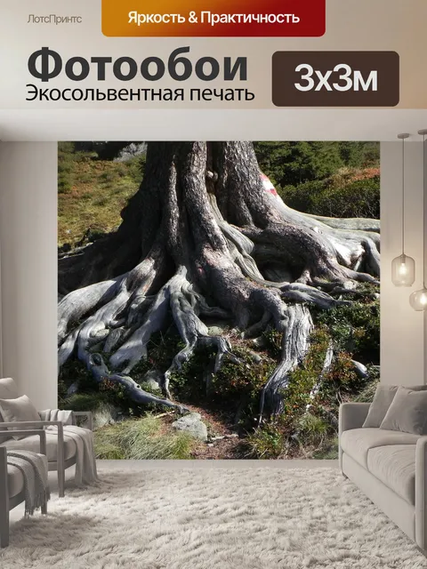 Фотообои Дерево