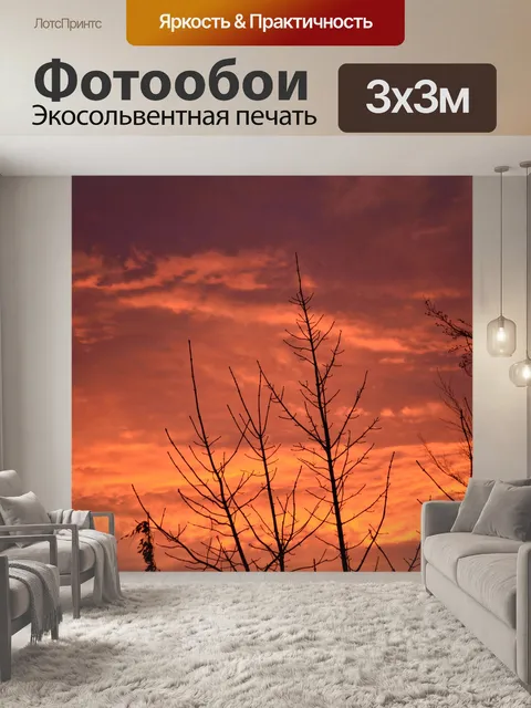 Фотообои красное небо утром