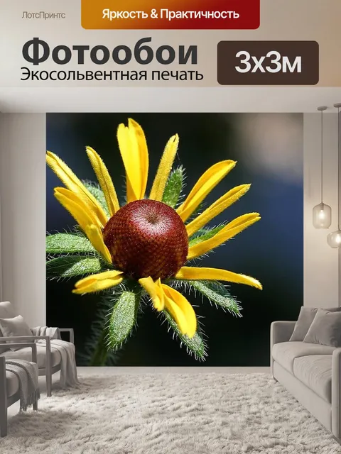 Фотообои Сьюзен