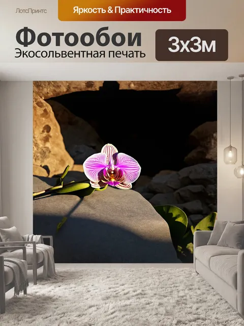 Фотообои орхидея, извивающаяся среди каменистого ландшафта, освещенная мягким светом заката, её лепестки создают игру…