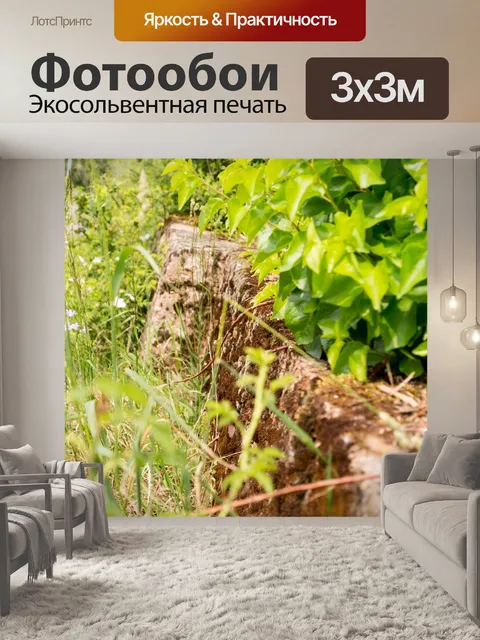 Фотообои Стена