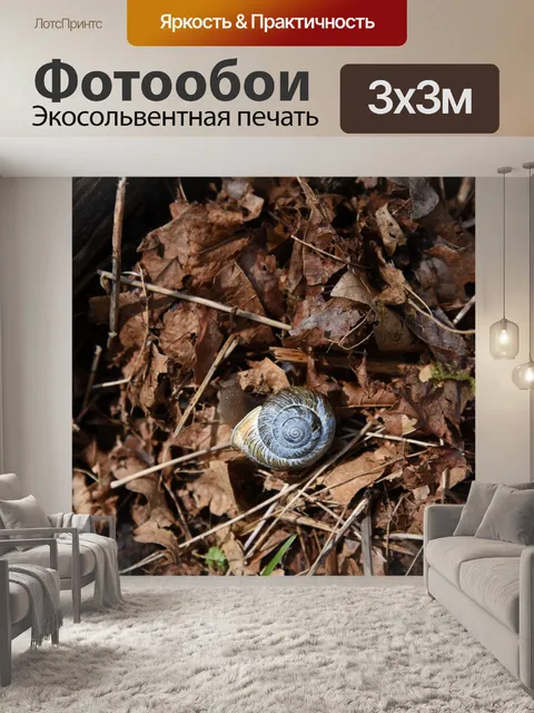 Фотообои Синий Shell Улитки