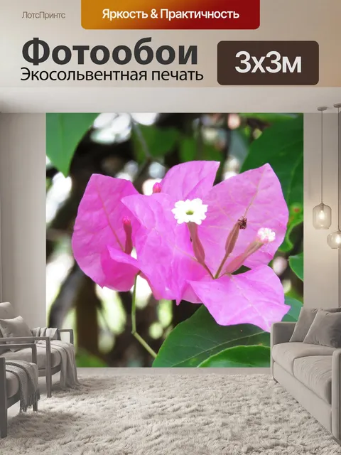 Фотообои Свежий