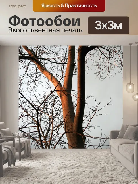 Фотообои высокий белый Stinkwood