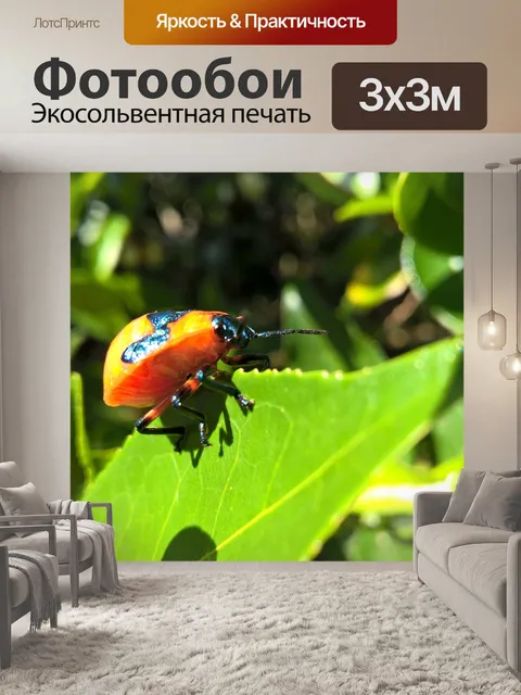 Фотообои Жуки