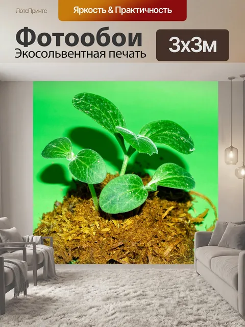 Фотообои Молодой завод деревьев