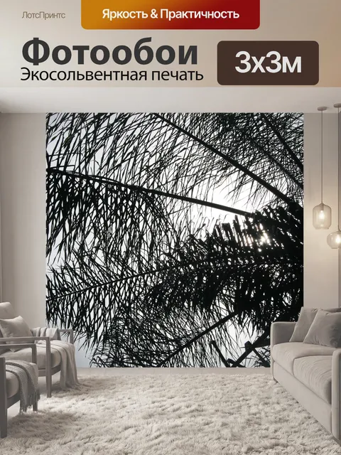 Фотообои вайя силуэт пальмы