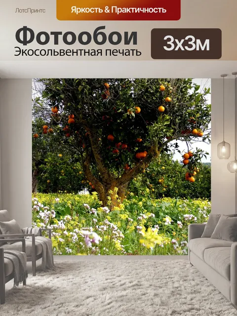 Фотообои Апельсины