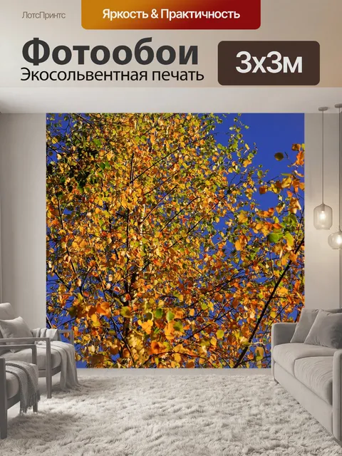 Фотообои Поздней осенью