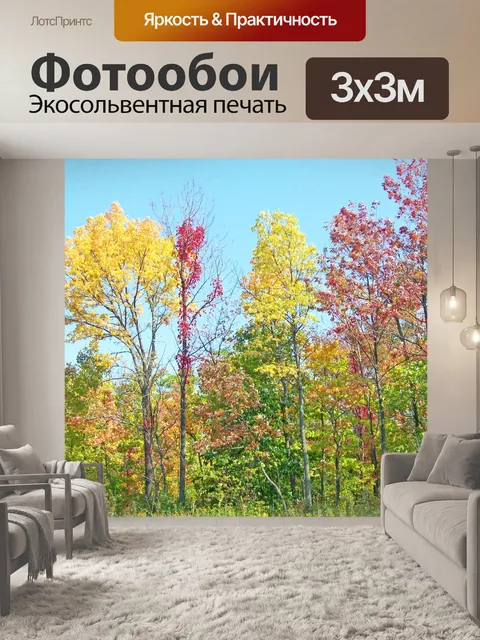 Фотообои Осенние деревья