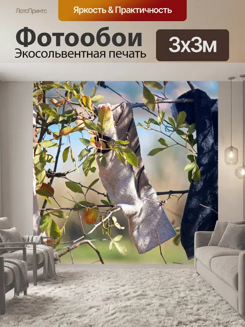 Фотообои случайные носки висят на дереве