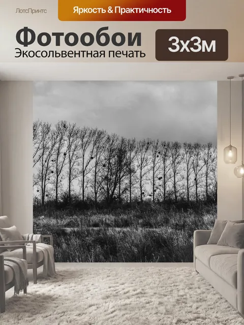 Фотообои Черный