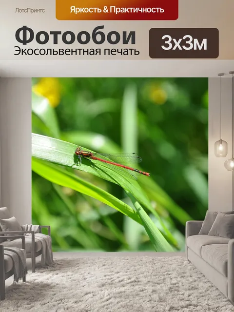 Фотообои Стрекоза