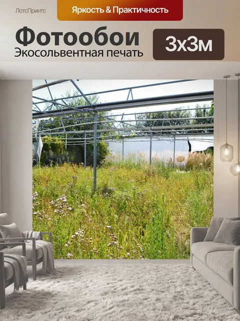 Фотообои Заброшенная теплица