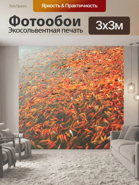 Фотообои Koi рыбы
