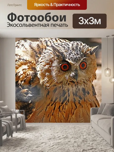 Фотообои Птица