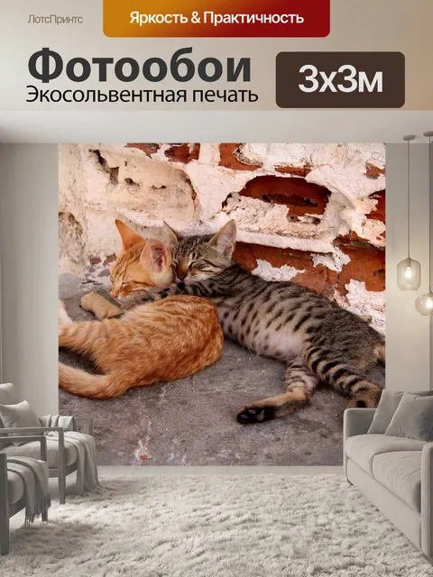 Фотообои Домашнее животное