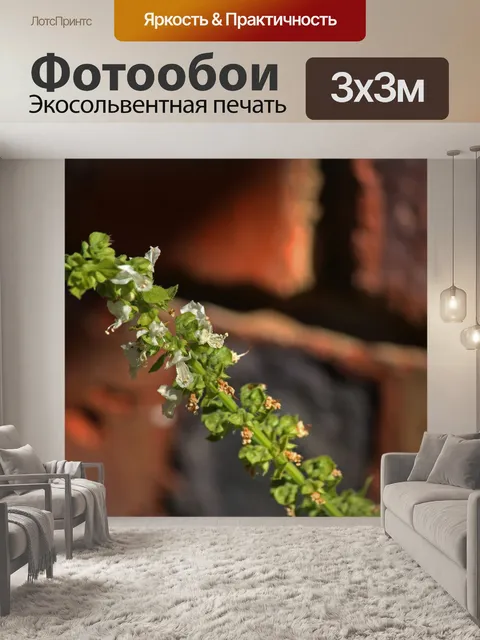 Фотообои белые цветы на базилике