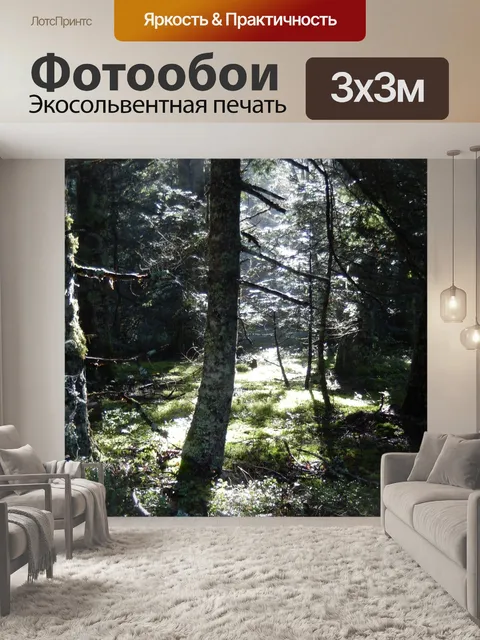 Фотообои Лес