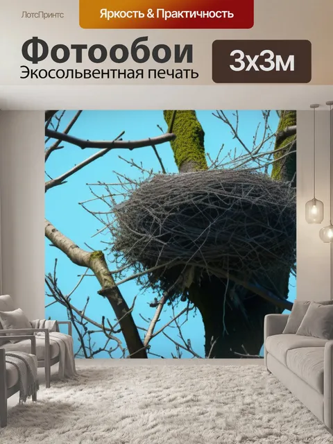 Фотообои птичьи гнезда на ветвях деревьев