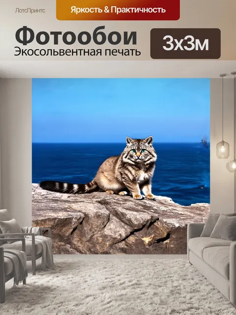 Фотообои растянутый на солнечном скалистом обрыве манул
