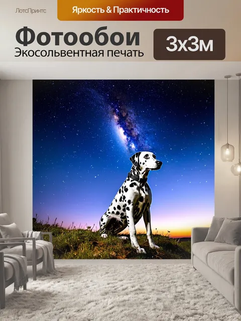 Фотообои далматинец, наблюдающий за звездами с вершины холма, чувство wonder и удивления, романтичный момент