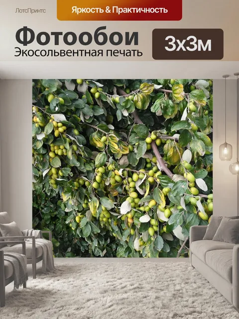Фотообои Зеленый