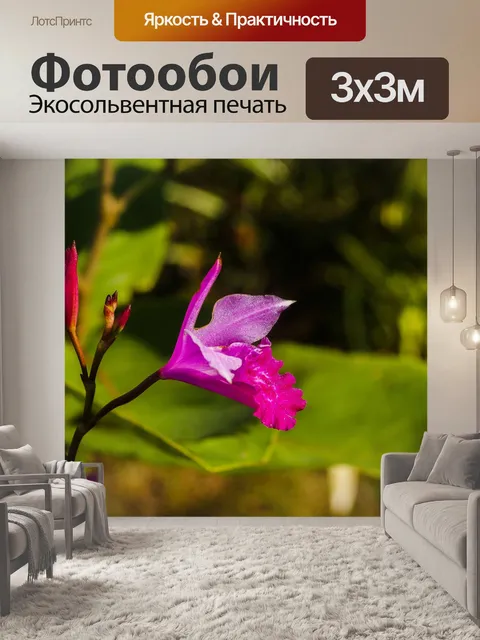 Фотообои Трава цветочное поле, полевые цветы
