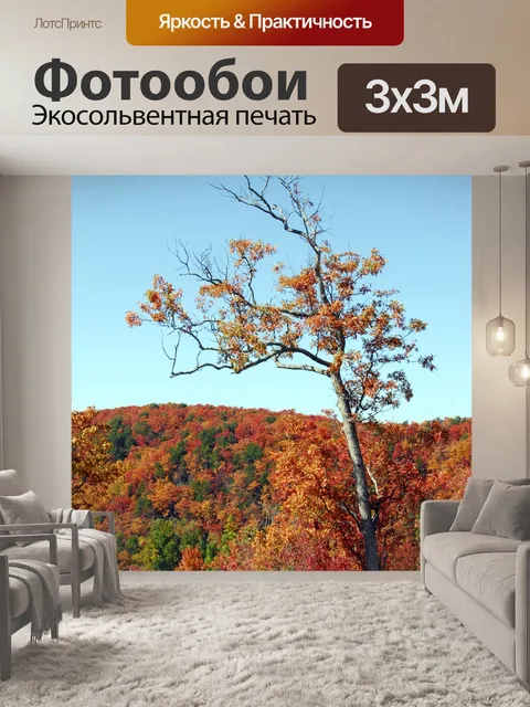 Фотообои Цвета осени