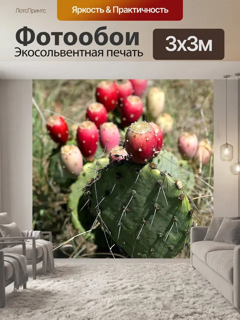 Фотообои Техас