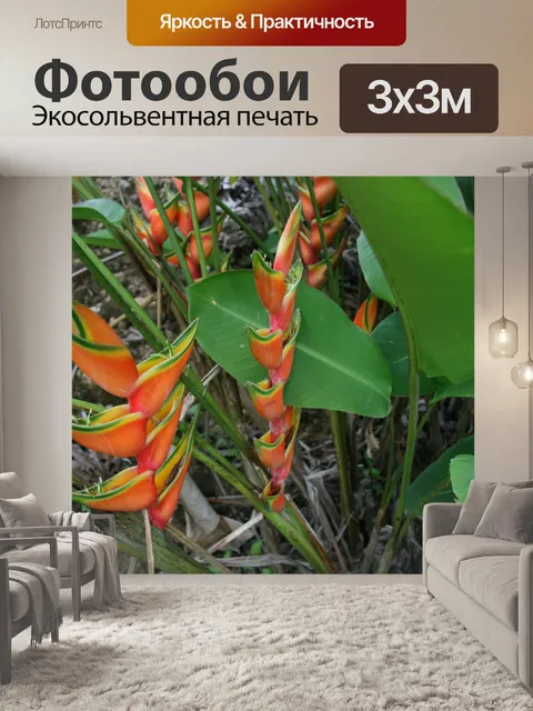 Фотообои Коста-Рика Цветы