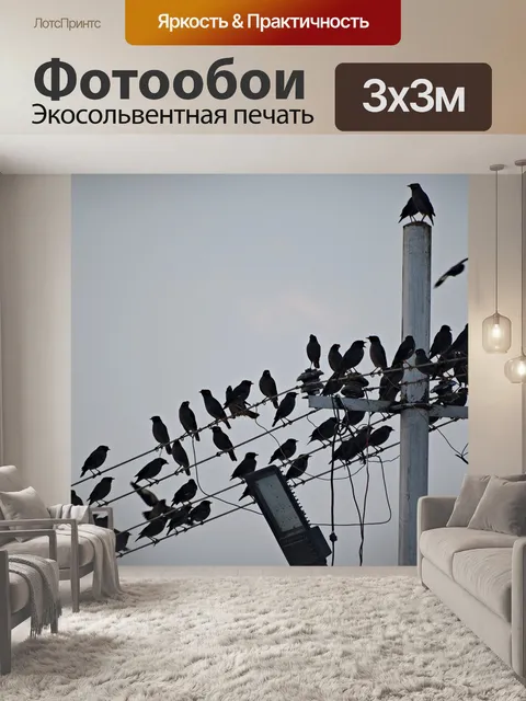 Фотообои Птицы