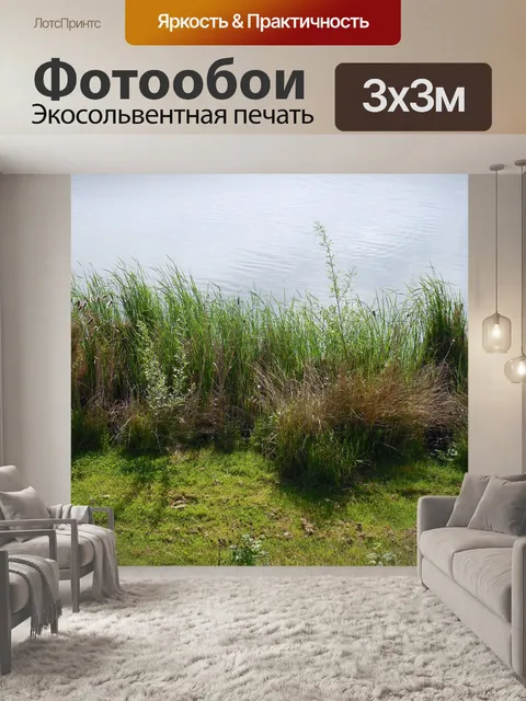 Фотообои Берег реки