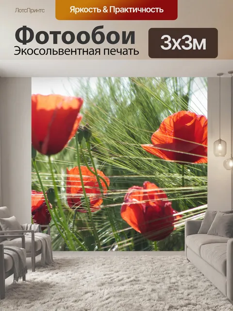 Фотообои Маки и пшеницы состав