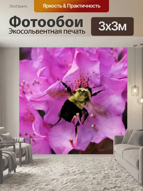 Фотообои Bee на цветы - 01