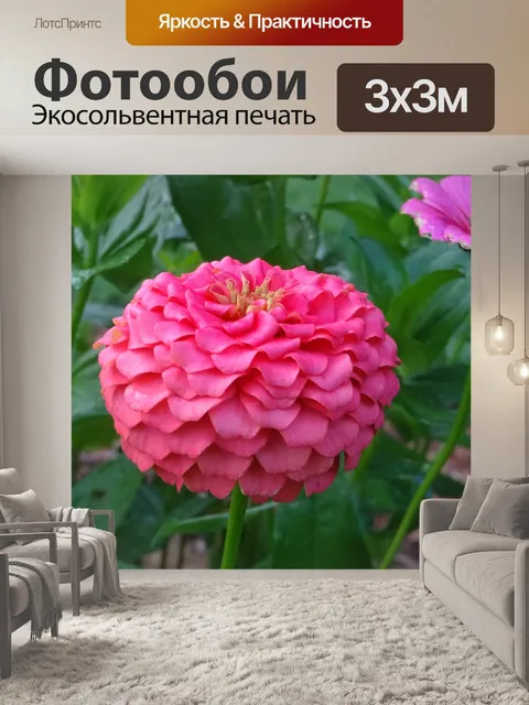 Фотообои Розовый