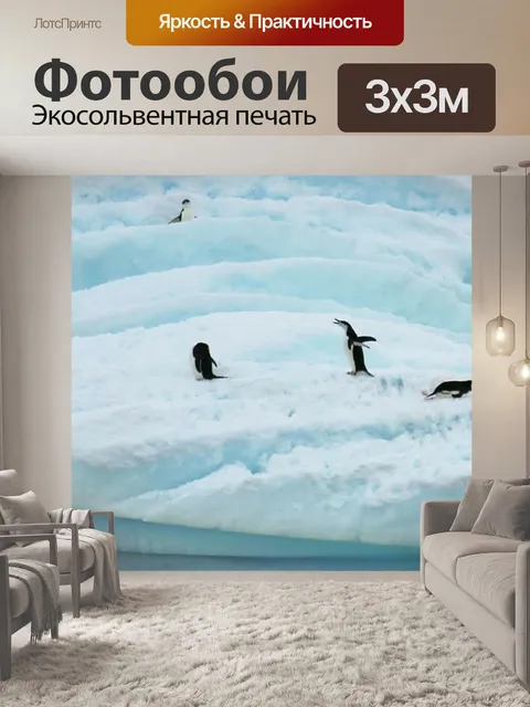Фотообои Антарктида