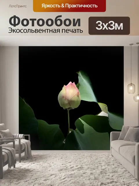 Фотообои Розовый лотос