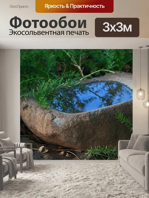 Фотообои птичья ванна в пустотелом камне