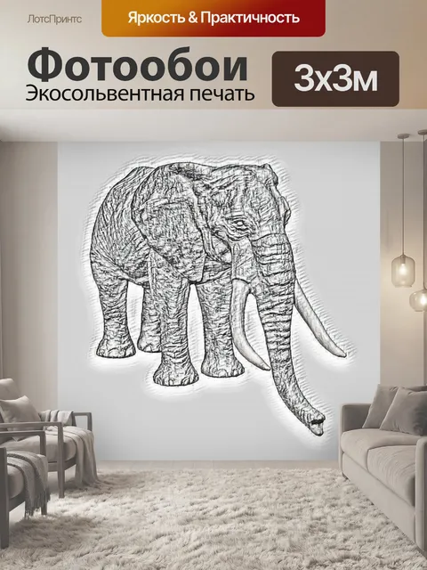 Фотообои Африканский слон