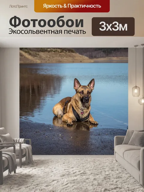 Фотообои Озеро