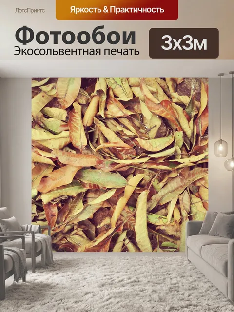 Фотообои Сухой