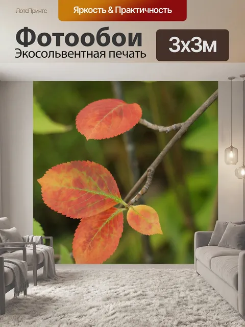 Фотообои Осень