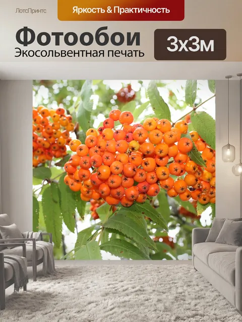 Фотообои Рябина