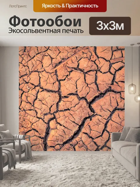 Фотообои Сухая трещина почвы