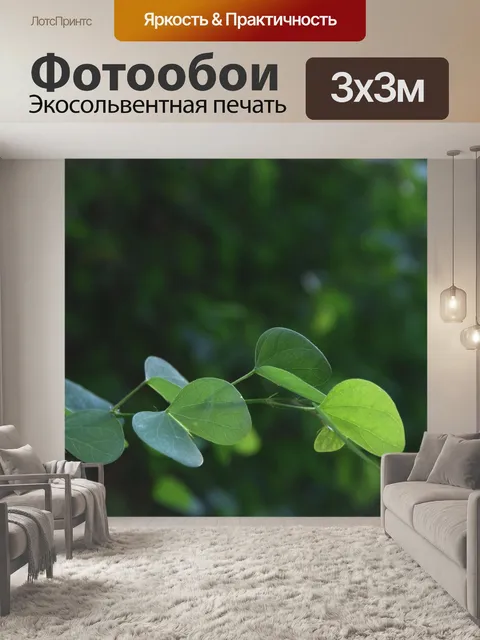 Фотообои Маленькая зеленая ветка в солнечном свет