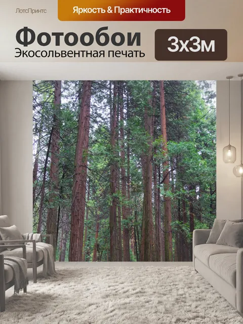 Фотообои Высокие Сосны в Yosemite