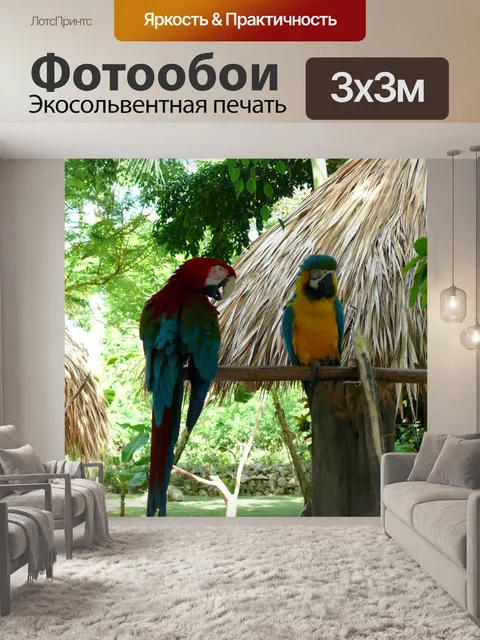 Фотообои Попугаи