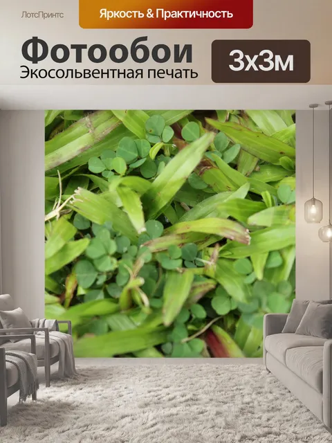 Фотообои Зеленые листья